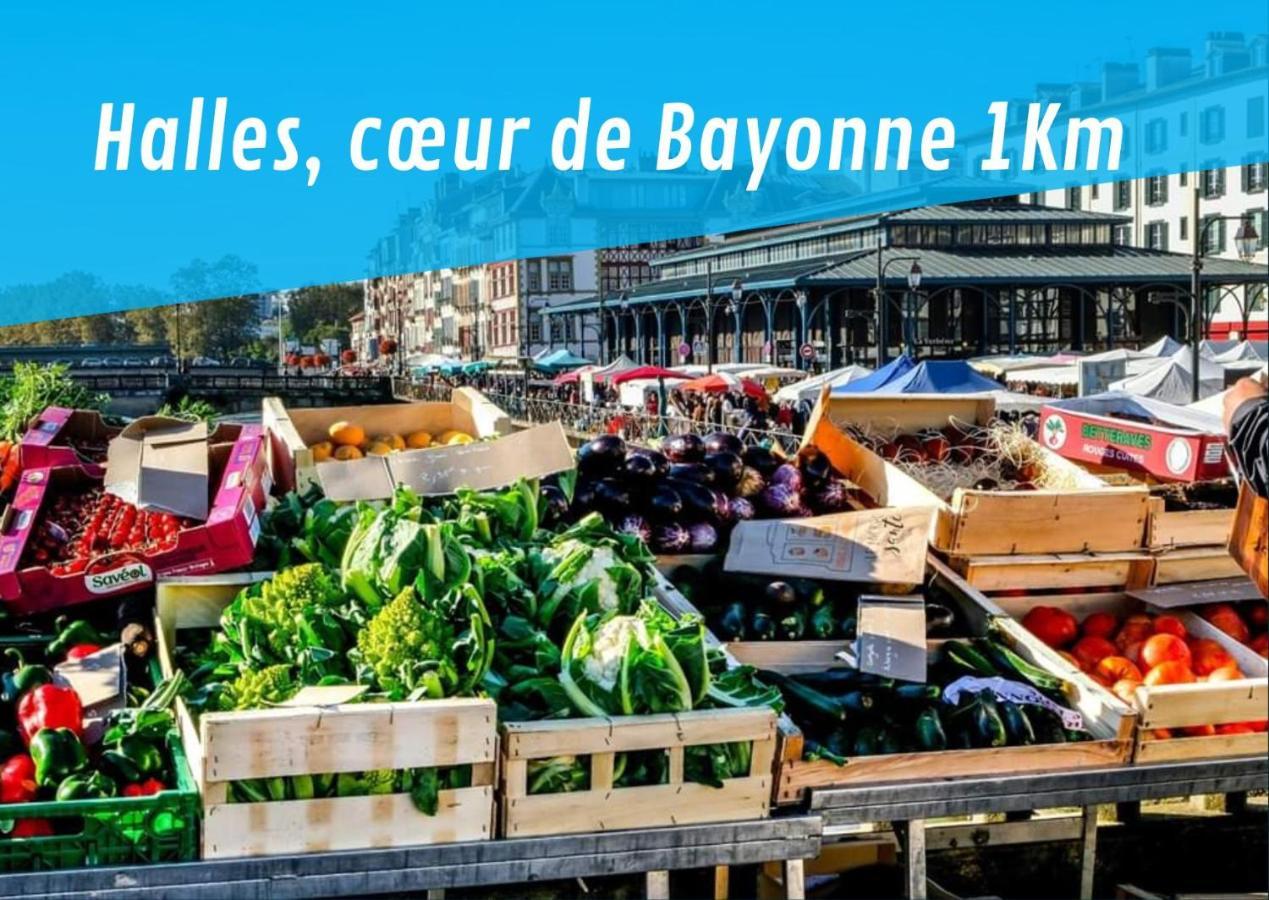 By'ona Marquisat Au Calme à 2 Pas De L'adour Baiona
